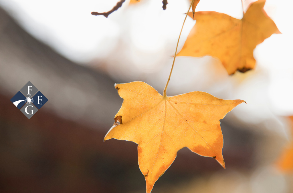 Proposed Changes to Your IRA, The Secure Act of 2019