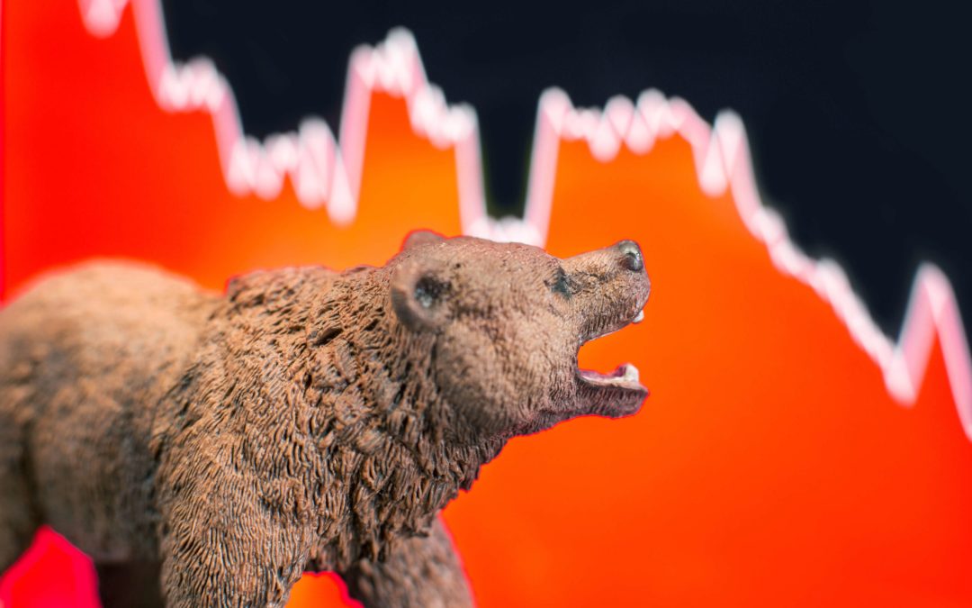 A Bear Market, Now What?