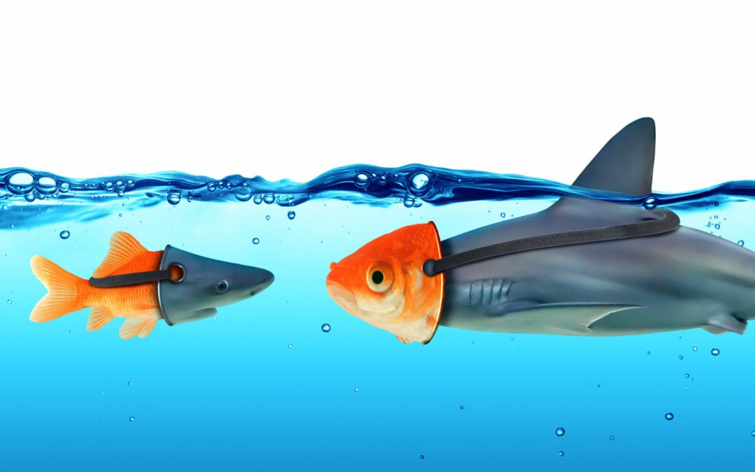 Trusting Your Advisor