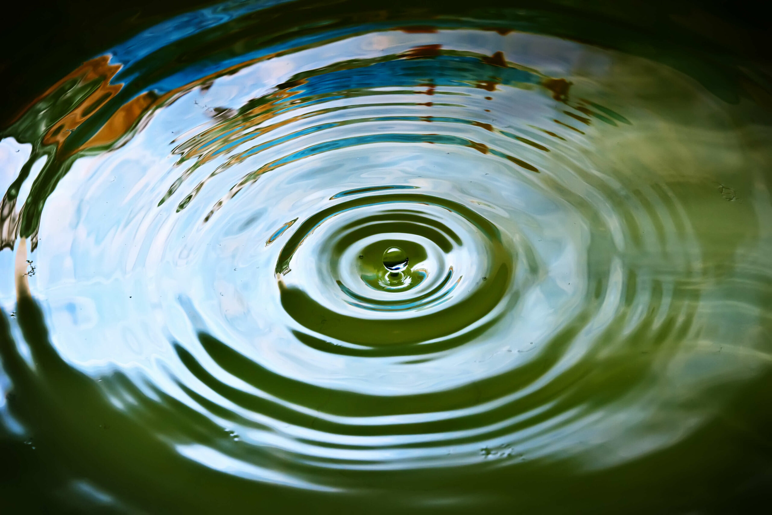 AdobeStock_261985996 (1)