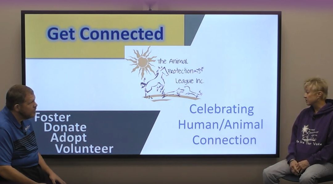 The Better Giver – The Animal Protection League